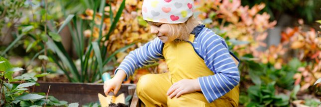 plante grimpante rapide