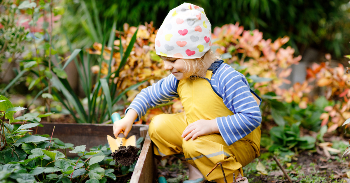 4 plantes grimpantes faciles à faire pousser avec les enfants