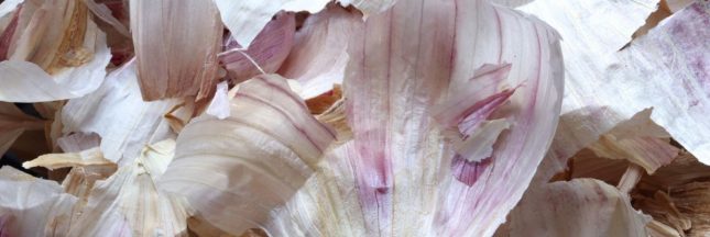 Recycler les épluchures d'ail pour un jardin en pleine santé
