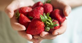 Recycler les queues de fraises, trésors méconnus pour votre jardin et vos papilles !