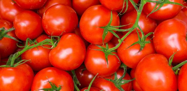 Les tomates en supermarché : un cocktail de pesticides préoccupant