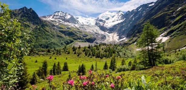 Le tour du Mont-Blanc : randonnée internationale à couper le souffle 