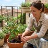 Savoir quand arroser : l'astuce de la pomme de pin pour un arrosage optimal Savoir quand arroser : l'astuce de la pomme de pin pour un arrosage optimal