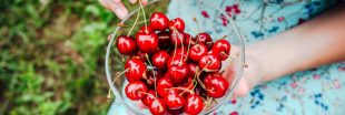 Les cerises, superfruits aux multiples bienfaits qui boostent la santé