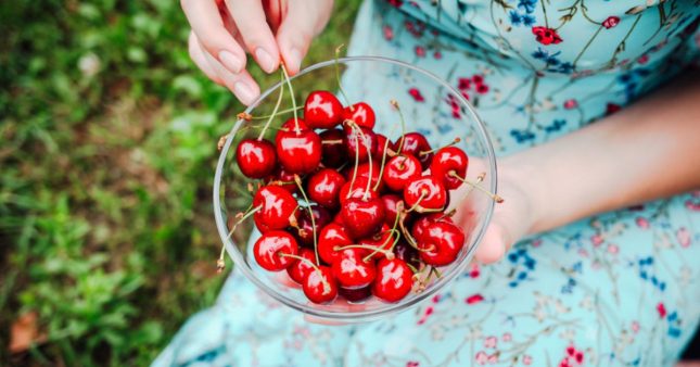Cerises de Céret : de superbes fruits à consommer tout l'été !