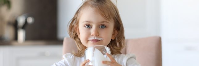 baisse de la consommation france