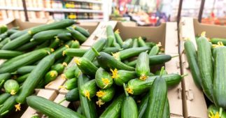 Des concombres vendus dans une grande surface bio bourrés de pesticides Des concombres vendus dans une grande surface bio bourrés de pesticides