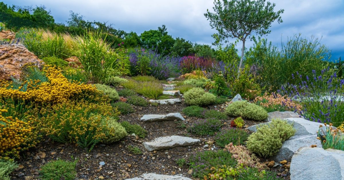 Créer un jardin méditerranéen : un oasis ensoleillé nécessitant peu d'eau