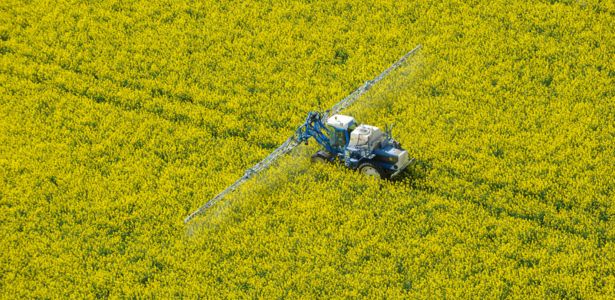 Des résidus de chloridazone, un pesticide interdit en France depuis 2020