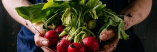 Ne jetez plus vos fanes de radis : des trésors verts pour de nombreuses recettes !