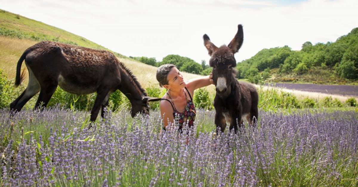 La Ferme du Hitton : quand l'amour pour la nature se traduit en cosmétiques bio et artisanaux