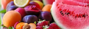 Récolte de fruits d'été  : quel rendement et à quel prix pour les consommateurs ?