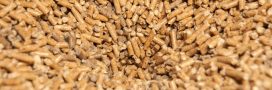Poêle à granulés : est-ce le bon moment pour acheter vos pellets ?