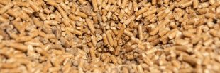 Poêle à granulés : est-ce le bon moment pour acheter vos pellets ?