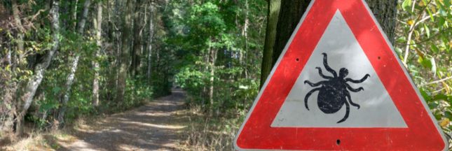 Morsures de tiques et vacances : les régions de France où il faut être particulièrement vigilant