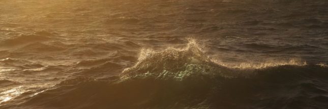 Une canicule marine extrême dans l'océan Atlantique Nord : des conséquences désastreuses