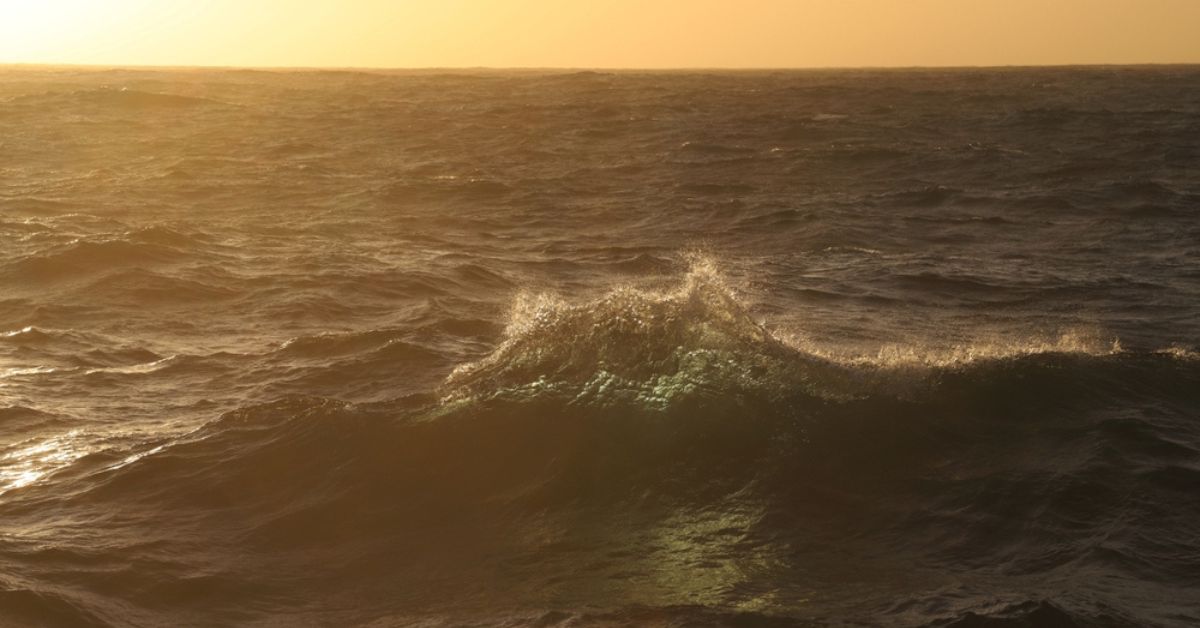 Une canicule marine extrême dans l’océan Atlantique Nord : des conséquences désastreuses