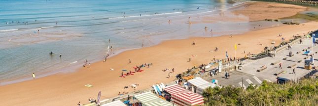 La prolifération d'une algue toxique provoque des symptômes grippaux sur les côtes françaises et espagnoles