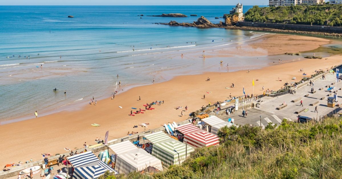 La prolifération d'une algue toxique provoque des symptômes grippaux sur les côtes françaises