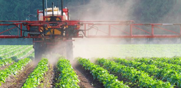 Quels sont les légumes qui contiennent le plus de pesticides ?