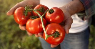 Pourquoi y a-t-il quand même des pesticides dans l'agriculture bio ? Pourquoi y a-t-il quand même des pesticides dans l'agriculture bio ?