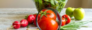 Pesticides : les 12 fruits et légumes les plus contaminés à éviter