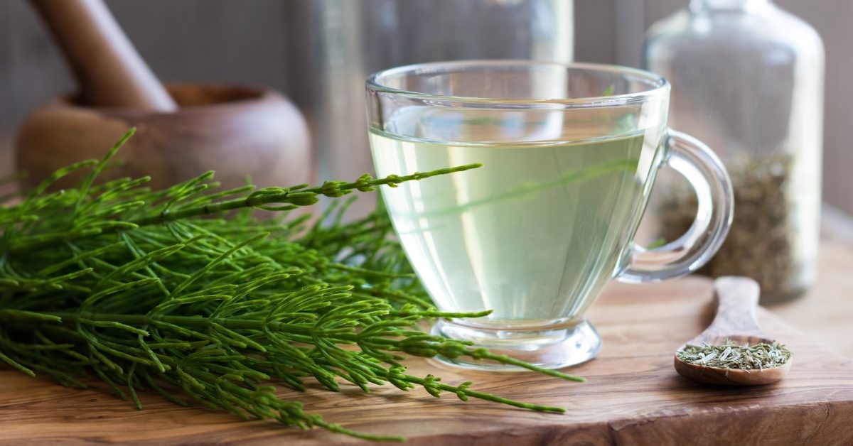 La prêle des champs : un puissant reminéralisant !