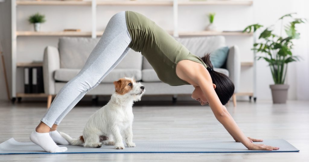 Puppy yoga : la relaxation en mode chiot