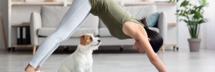 Puppy yoga : la relaxation en mode chiot