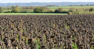 Vers un climat méditerranéen dans toute la France : les prévisions alarmantes d'un chercheur du GIEC Vers un climat méditerranéen dans toute la France : les prévisions alarmantes d'un chercheur du GIEC