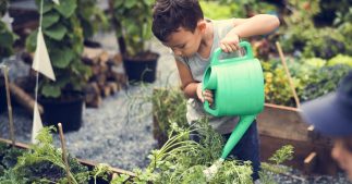 Économies d'eau : le gouvernement publie ses conseils pratiques Économies d'eau : le gouvernement publie ses conseils pratiques