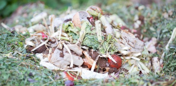 Le Thé de Compost Oxygéné (TCO) ou Jus de Compost à Aération Active (JCAA)