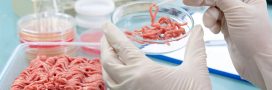 La viande artificielle est un désastre environnemental