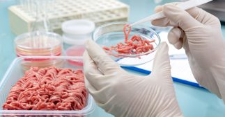 La viande artificielle est un désastre environnemental La viande artificielle est un désastre environnemental