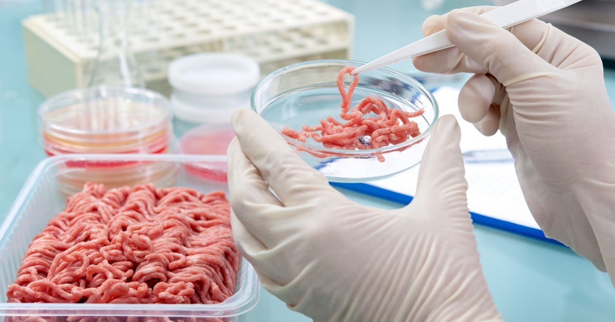 La viande artificielle est un désastre environnemental La viande artificielle est un désastre environnemental