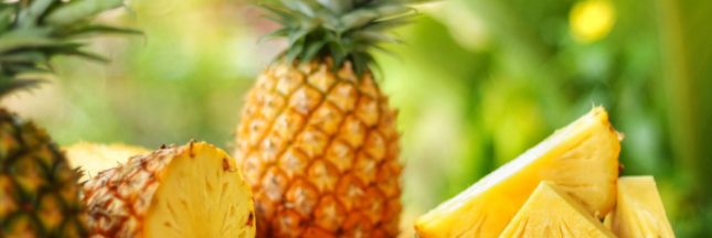 Faire pousser un ananas en pot chez soi, c'est possible !