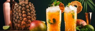 Découvrez nos cocktails sans alcool et vitaminés pour des soirées d'été pétillantes Découvrez nos cocktails sans alcool et vitaminés pour des soirées d'été pétillantes