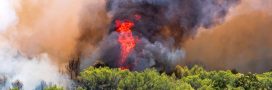 Incendies en Europe : vos vacances sont-elles en danger ?