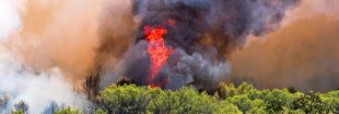 Incendies en Europe : vos vacances sont-elles en danger ?
