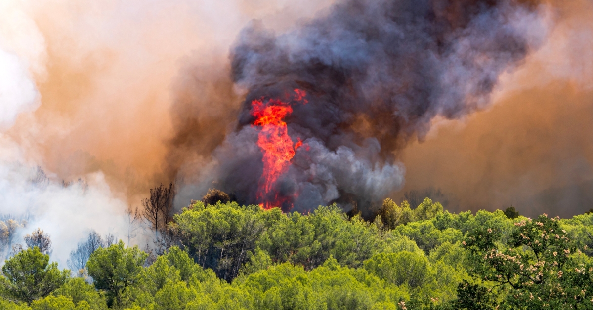 Incendies en Europe : vos vacances sont-elles en danger ? Incendies en Europe : vos vacances sont-elles en danger ?
