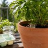 Fabriquer du gel d'arrosage pour empêcher ses plantes de dessécher Fabriquer du gel d'arrosage pour empêcher ses plantes de dessécher