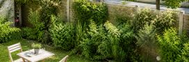 Isoler son jardin avec une haie anti-bruit : les meilleurs végétaux Isoler son jardin avec une haie anti-bruit : les meilleurs végétaux
