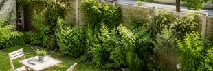 Isoler son jardin avec une haie anti-bruit : les meilleurs végétaux Isoler son jardin avec une haie anti-bruit : les meilleurs végétaux