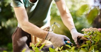 Les indispensables du jardinier pour un été réussi Les indispensables du jardinier pour un été réussi