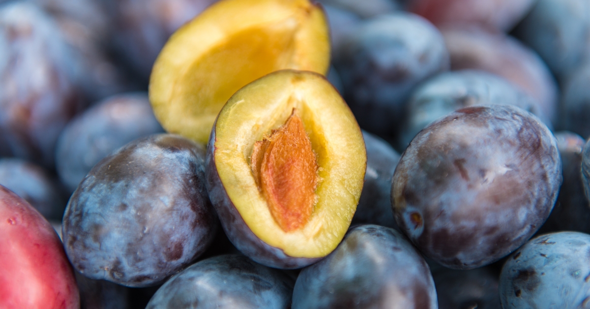 Noyaux jetés dans la nature pour faire pousser des arbres : est-ce que ça marche ?