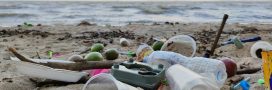 Où il ne faut pas poser sa serviette : les plages les plus sales de France