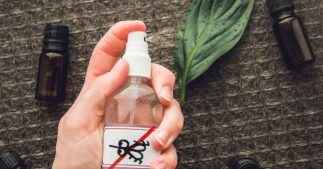 Fabriquer un spray anti-mouches aux huiles essentielles, une solution efficace et naturelle