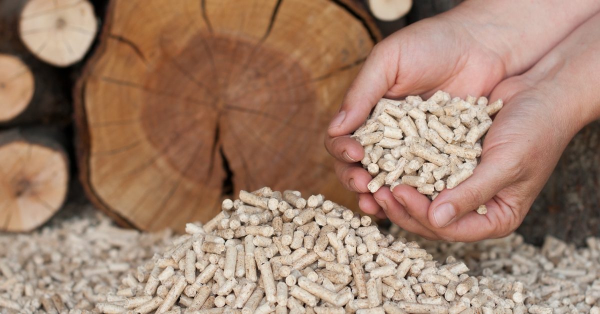 Pellets et granulés de bois : c’est le moment d’en acheter pour l’hiver !