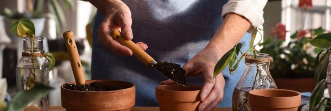 Les boutures à réaliser avant la fin de l'été pour un jardin florissant sans rien dépenser