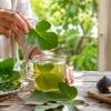 4 façons d'utiliser les feuilles de figuier pour profiter de leurs bienfaits 4 façons d'utiliser les feuilles de figuier pour profiter de leurs bienfaits